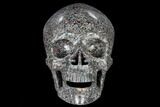 Polished Skull of Crinoidal Limestone #116419-1